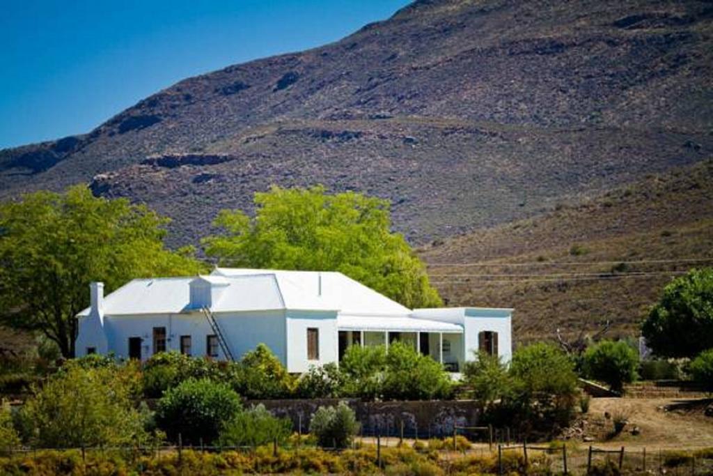 Vrisch Gewagt Boutique Self-Catering Olive Farm Guest House Prince Albert Exterior photo